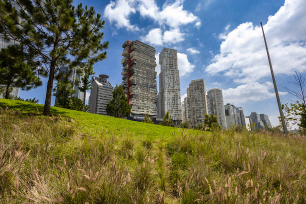 istock La Mexicana Park in Mexico City 2164219038