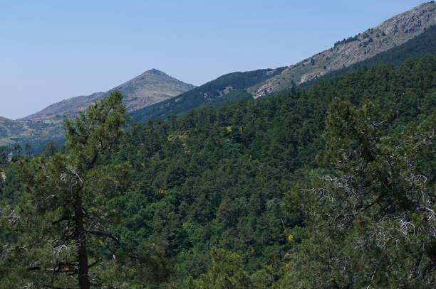 istock landscape, view, mountains, spring, nature, spain, trees, plants, green, sunny, 2164230451