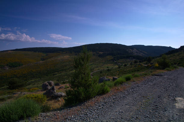 istock landscape, view, mountains, spring, nature, spain, trees, plants, green, sunny, 2164230847