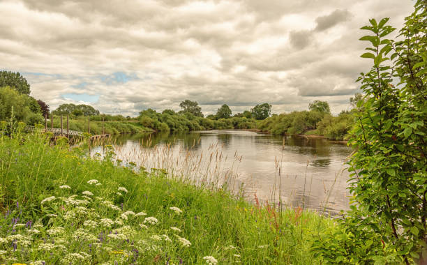 landscape shot with foreground foliage and distant scene