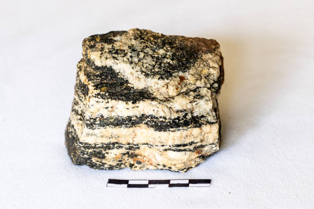 Sample of Gneiss
