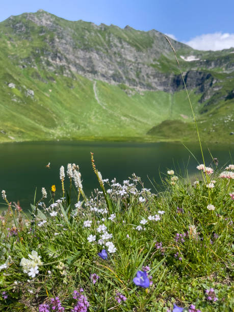istock lake in the mountains 2164238632