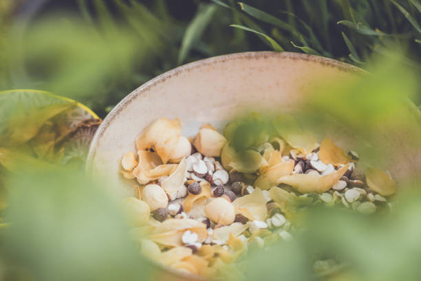 ingredients used in making Ching Po Leung soup:Coix Lacrima-jobi: Job's Tears or Adlay MilletLilium Brownii: Brown's Lily or Chinese White LilyDioscorea Opposita: Chinese YamPolygonatum Odoratum: Solomon's SealNelumbo Nucifera: Lotus SeedLycium Barbarum: Goji Berry or WolfberryDimocarpus Longan: Longan Fruit