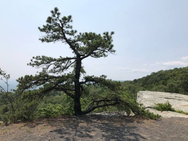 istock Minnewaska State Park in New York State. 2164246128