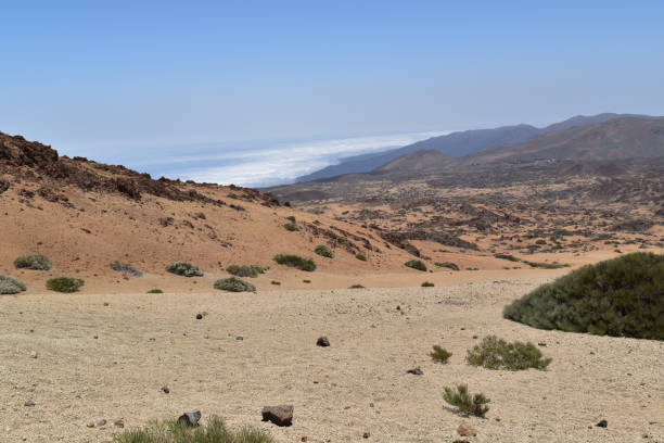 istock Desert scene in Europe 2164248311