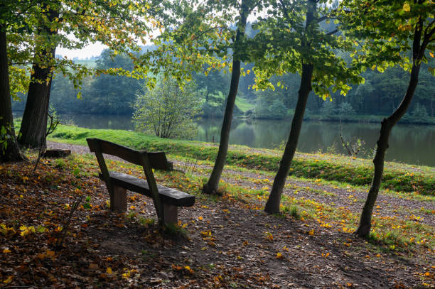 istock Small lake in the forest with a park bench 2164250618