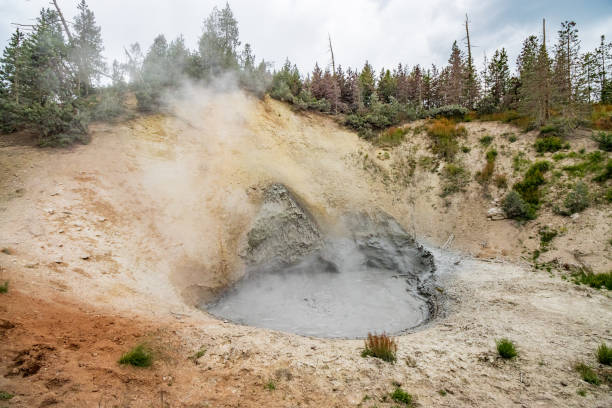 Mud Volcano in Hayden Valley at Yellowstone National Park, Wyoming Mud Volcano in Yellowstone National Park is a highly active geothermal feature located near the Yellowstone River, just north of Yellowstone Lake. This area is known for its bubbling mud pots and steam vents, which are fueled by acidic, sulfur-rich gases rising from deep within the earth. The most notable feature, the Mud Volcano itself, is a churning pool of hot, muddy water that gives off a strong smell of sulfur. It was once a large cone-shaped geyser before a powerful eruption in the late 19th century reduced it to its current, more subdued form. The area around Mud Volcano is part of the larger Hayden Valley thermal area. mud volcano yellowstone stock pictures, royalty-free photos & images