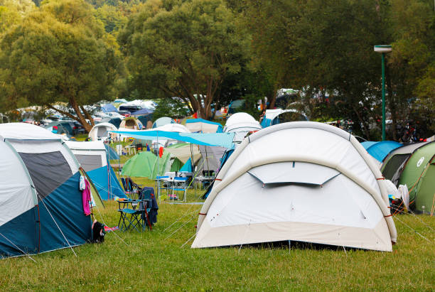 istock Natural campsite area with trees and green grass. 2164262675
