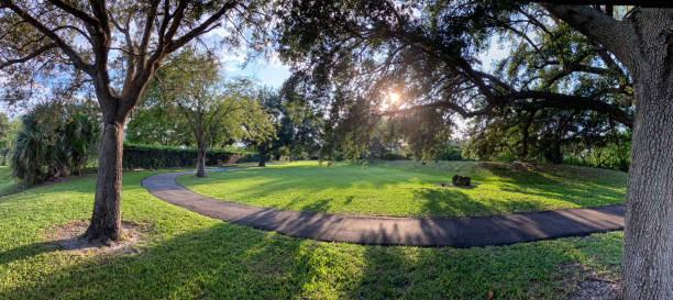Park with very green areas at sunset, with a path to walk and lots of trees