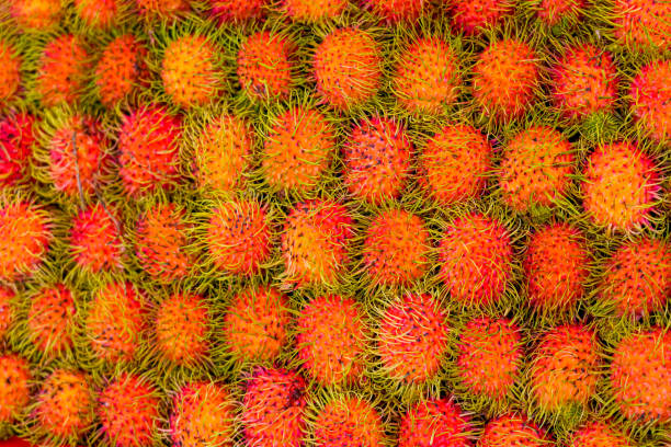 istock Close up rambutan ripe sweet tropical fruit texture 2164267154