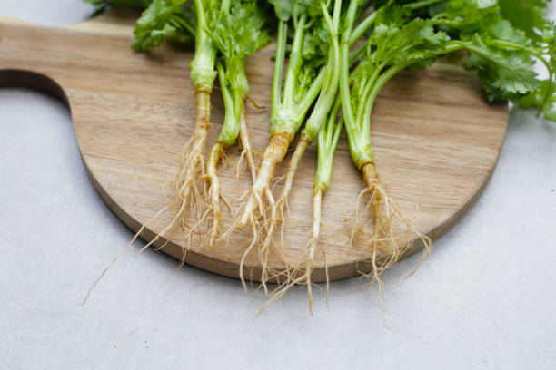 istock Fresh organic coriander, coriander roots. Vegetables and herbs 2164267392