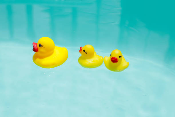 istock Cute yellow rubber ducks floating on blue water 2164267427