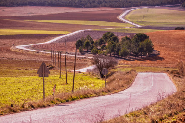istock Panoramic landscape in Castilla-La Mancha, Spain with cereal crops on the characteristic reddish soil of the place 2164272787
