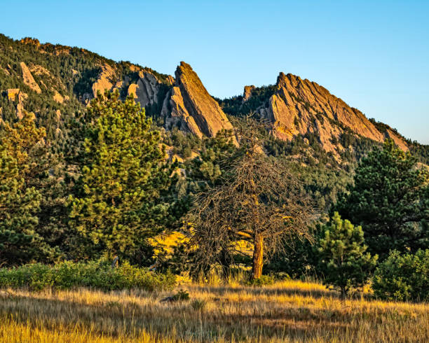 istock Flatirons behind the tree line in Bould Colorado 2164275893
