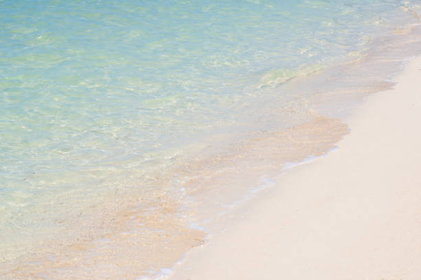 sea wave on the sandy shore calm and relax with copy space summer design