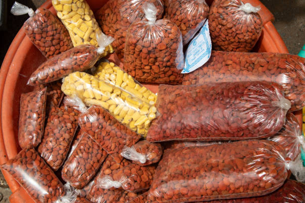 Fruto tipico da Guine Bissau usado para fazer suco. Se chama veludo e a textura é aveludada.