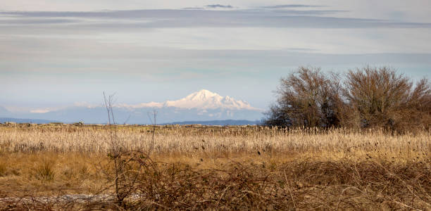 istock Scenic View from Centennial Park in Delta, BC, Overlooking Mt. Baker in Washington State in the Distance 2164279981
