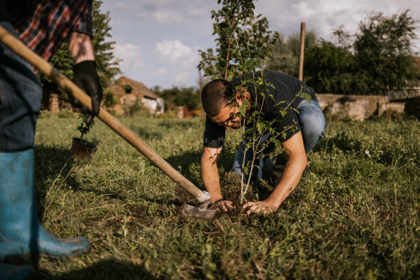 istock Community efforts in afforestation while preparing the soil around newly planted trees in green landscape 2164280233