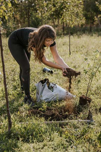 istock Planting new trees while preparing the ground for afforestation in a sunny park 2164280250