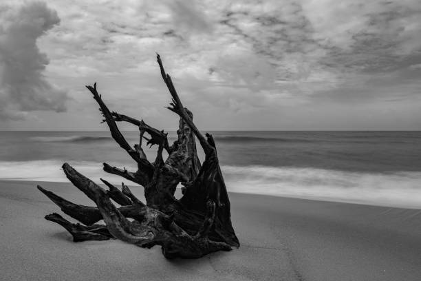 istock Seascape nature view in black and white 2164283416
