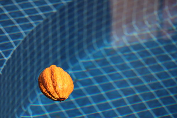 Green natural fresh hazelnut