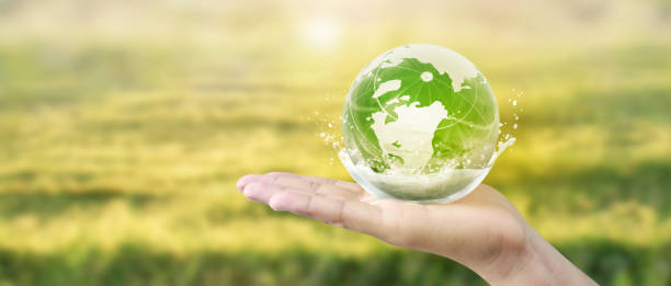 istock Globe ,earth in human hand, holding. Earth image provided by Nasa 2164284091