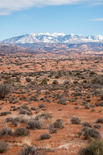 istock Arches National Park,  Utah 2164285628