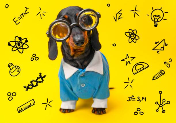Nerd dog in glasses puzzled, information overload, school load Doodle drawings