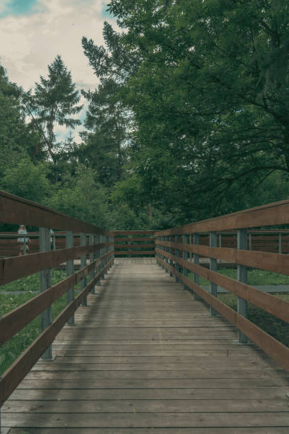 A wooden walkway with metal railings stretches through a lush green forest, offering a peaceful and scenic path.