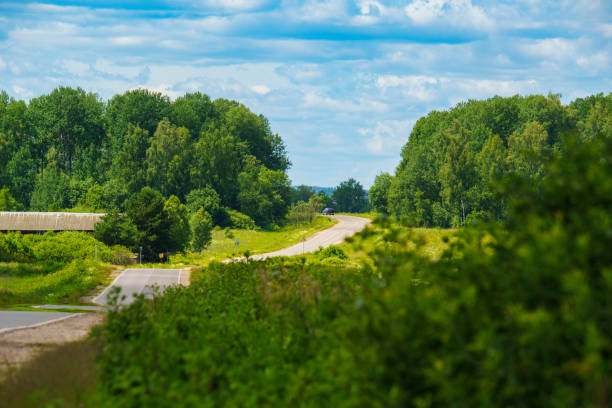 Low angle view of a straight two lane asphalt road with road marking goes through the forest