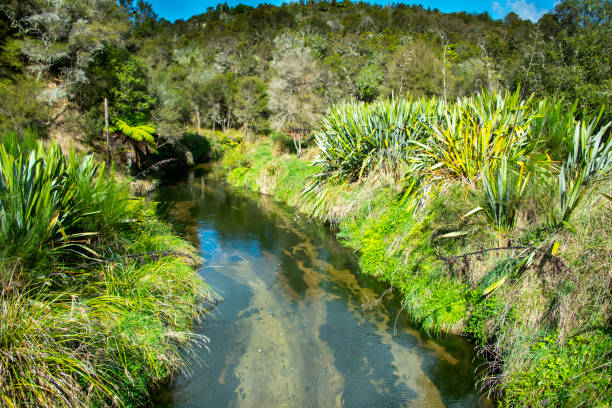 istock Geothermal River in Waimangu Volcanic Valley 2164297450