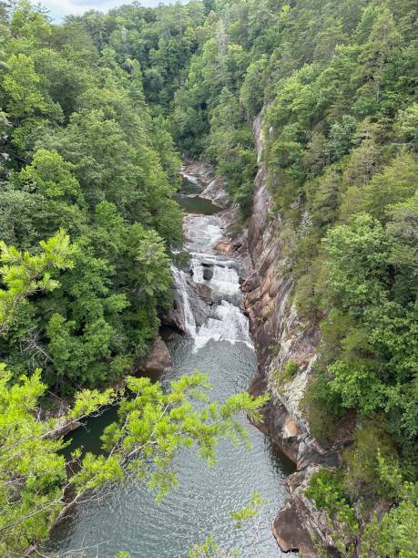 istock waterfall in the mountains, arial view, forest 2164299056