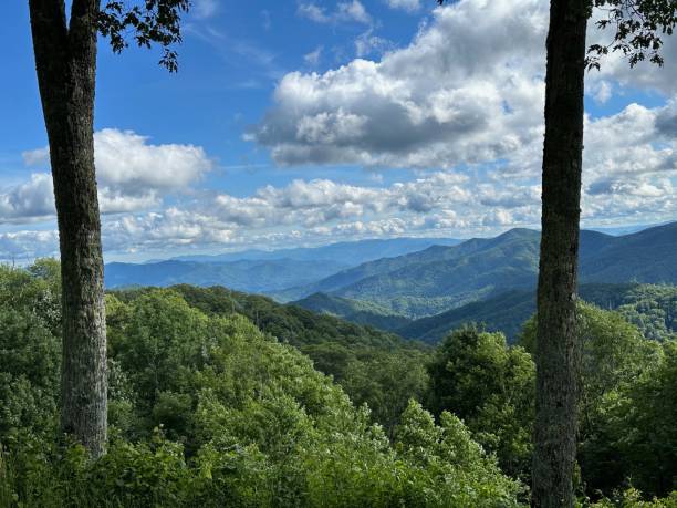istock view of mountain range through a natural frame of trees 2164299083