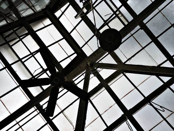 istock Glass Ceiling of a Large Greenhouse 2164301500