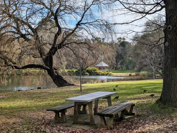 istock Tranquil Park Scene with Picnic Table, Serene Pond, Bare Trees, and Wild Birds 2164303921