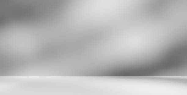 istock Empty white room studio with leaves shadow overlay effect for product presentation display. 2164303992