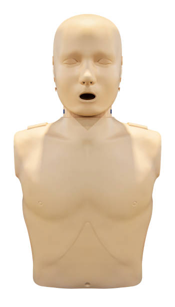 istock Half body medical CPR isolated on white background with clipping path 2164304988