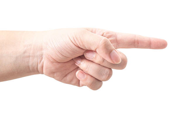 istock Male hand touching or pointing to something isolated on white background. 2164305052