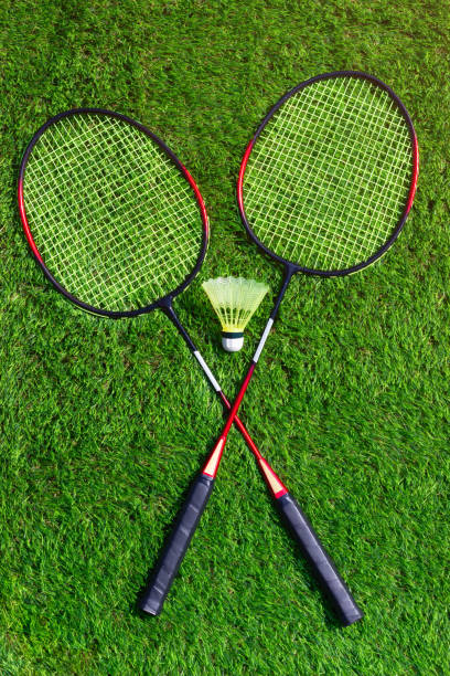 istock The badminton kit on the artificial green grass playground. 2164309155