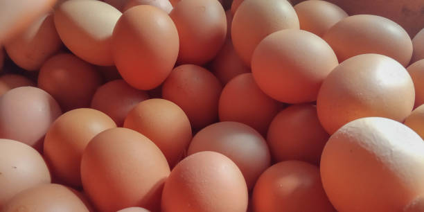 istock group of brown raw chicken eggs, egg texture background 2164312259