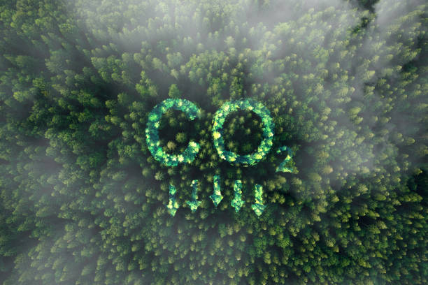 istock Reduce CO2 emission concept.Clean and friendly environment without carbon dioxide emissions. 2164313987