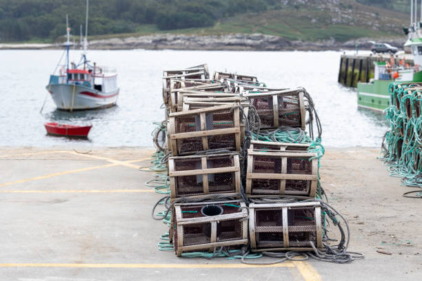 A fishing boat is docked at a pier, surrounded by numerous lobster traps, with a scenic backdrop of trees and rocky shoreline, depicting the calm and serenity of the coastal life.