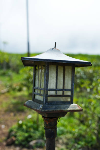 Garden lights in the garden