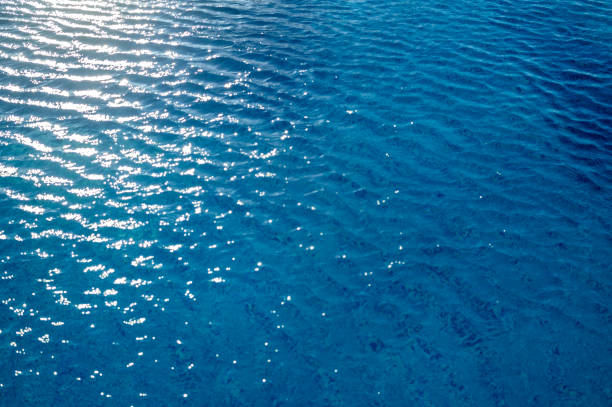 istock Surface of a swimming pool 1 2164322648