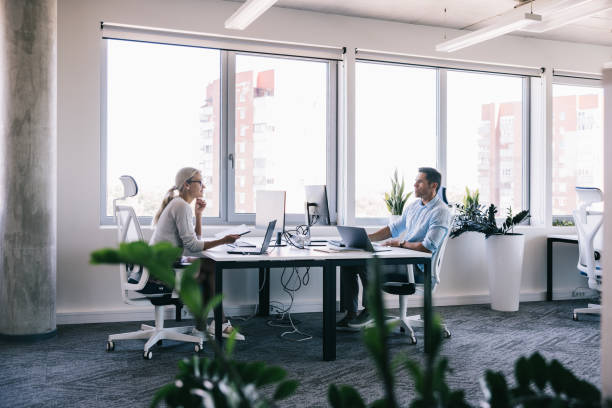 istock Two employees are seated opposite each other in a contemporary office, helping each other with a task 2164332004