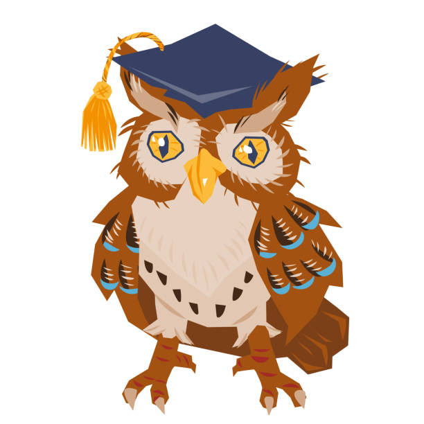 istock Cute wise owl character for back to school posters and sale banners, vector. 2164348238