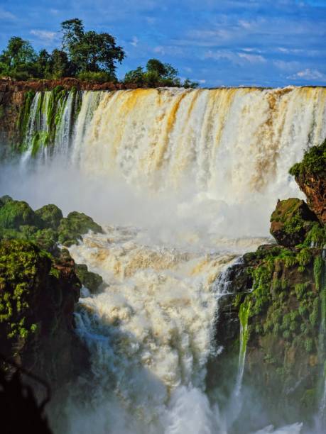 istock Iguacu, Argentina 2164352763
