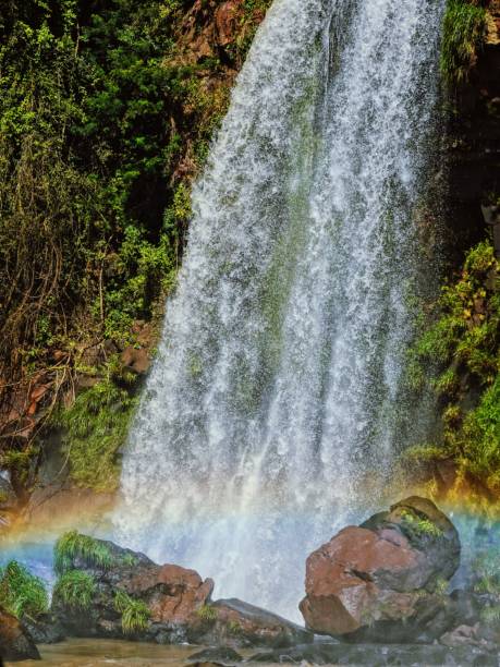 istock Iguacu, Argentina 2164352777