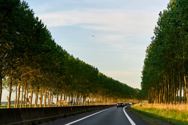 Landscape in Zeeland Netherlands