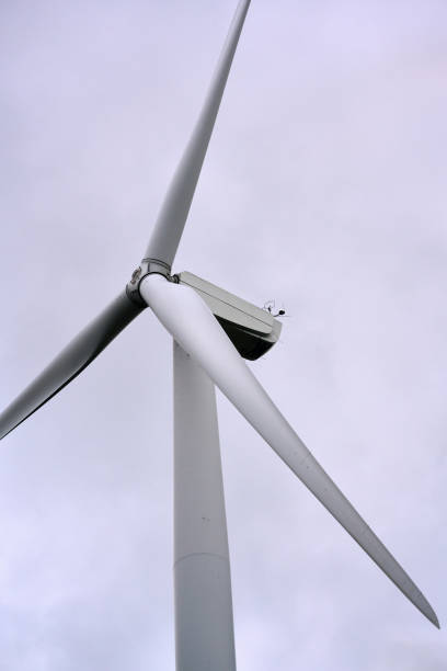 istock Wind turbines in Zeeland Netherlands 2164356512